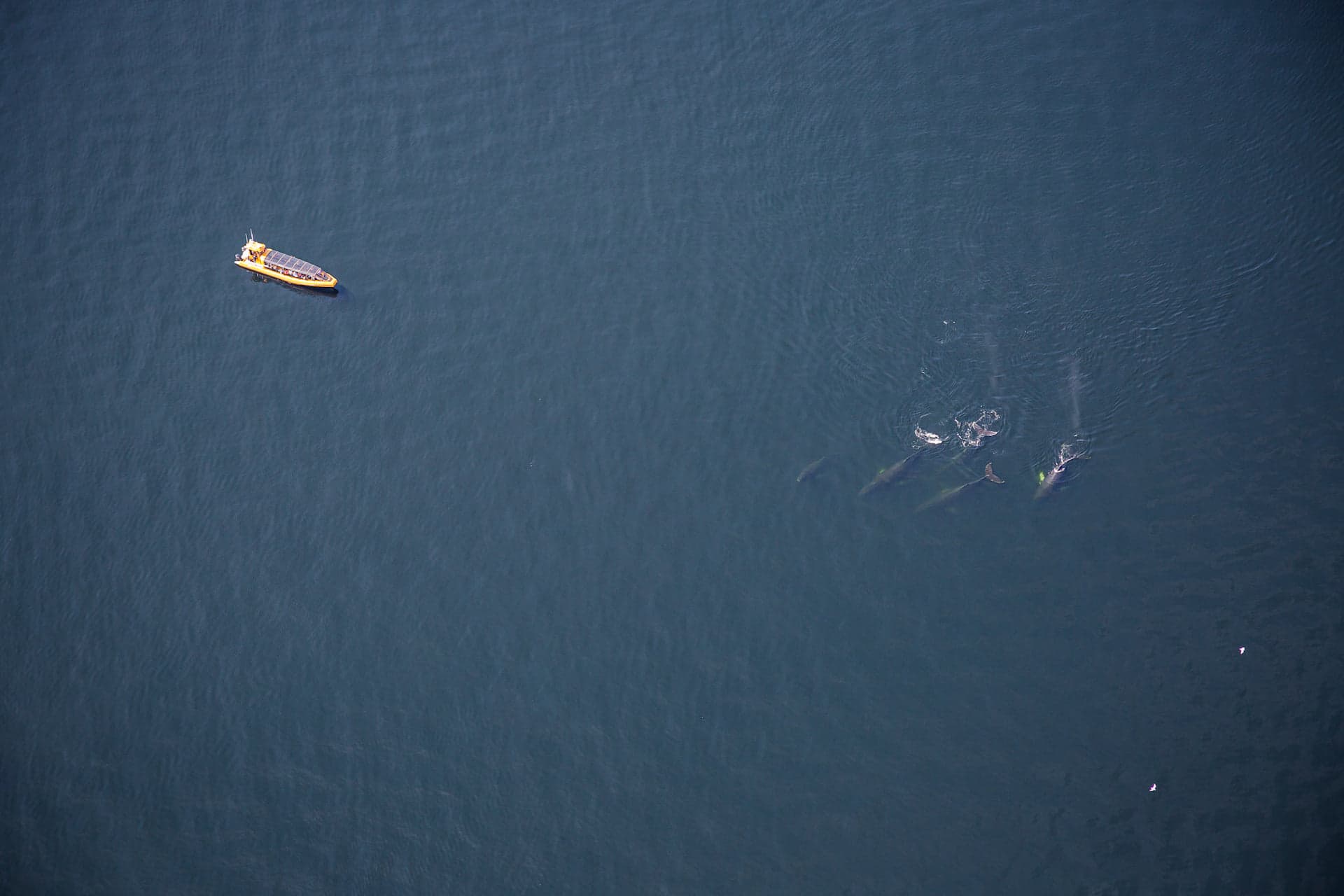 Combo Air et Mer